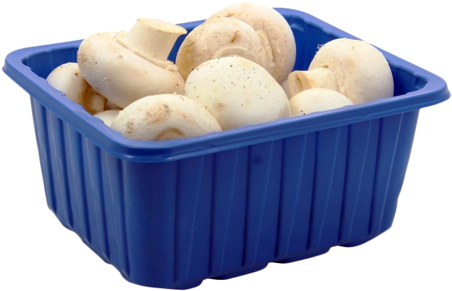 Pro-Inter | Champignons 500g | Origine : Pays-Bas 